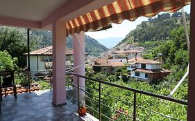 Guest House Bumbli